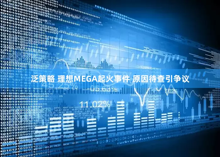 泛策略 理想MEGA起火事件 原因待查引争议