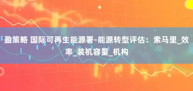 盈策略 国际可再生能源署-能源转型评估：索马里_效率_装机容量_机构