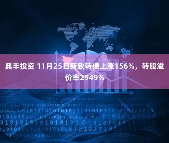 典丰投资 11月25日新致转债上涨156%，转股溢价率2949%